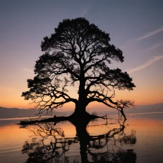 tree silhouette png