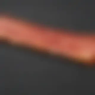 bacon png