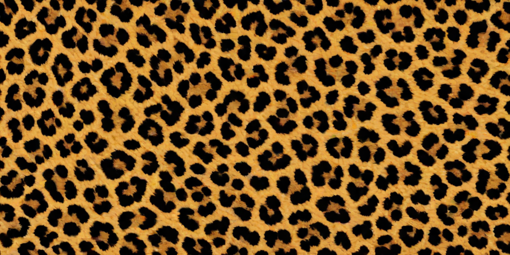 leopard print png