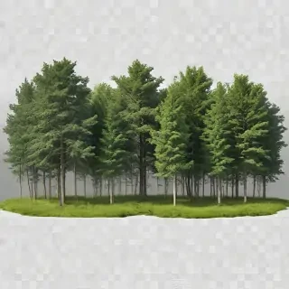 forest transparent background
