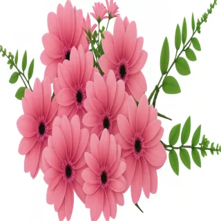 pink flowers png