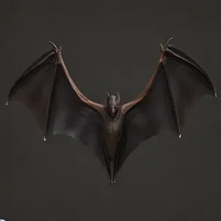 bat wings png