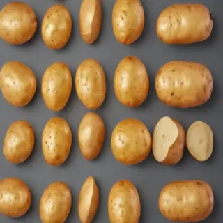 potato transparent background
