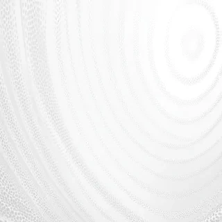 white zoom background
