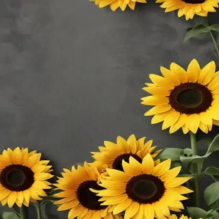 cute sunflower wallpaper