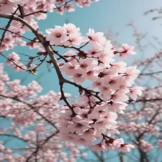 spring aesthetic desktop wallpaper