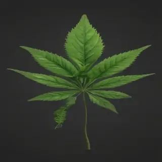 weed leaf png