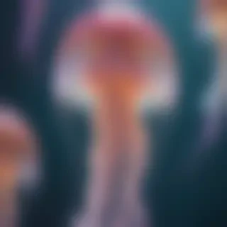 aesthetic jellyfish wallpaper