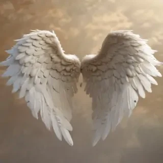 picture of angel wings