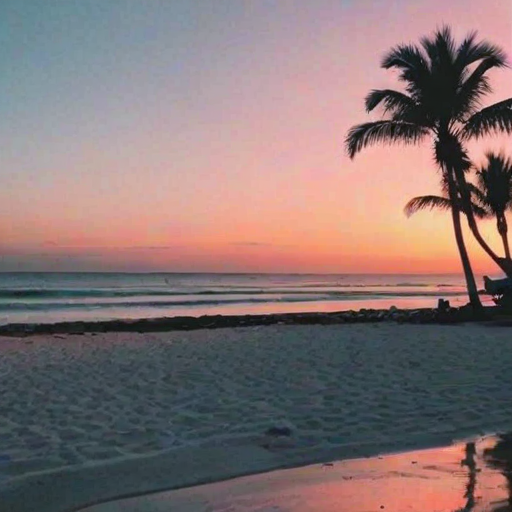 aesthetic beach pictures