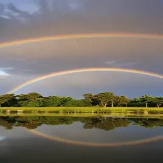 rainbow pictures