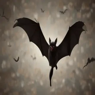 pictures of halloween bats