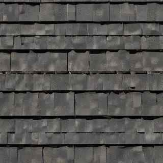 pictures of shingles
