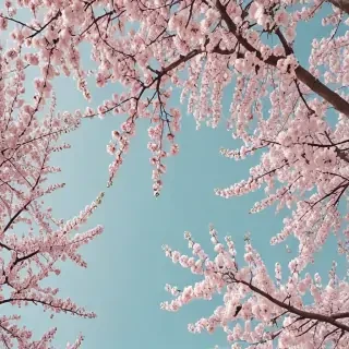 spring aesthetic desktop wallpaper