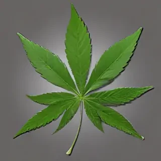 weed leaf png
