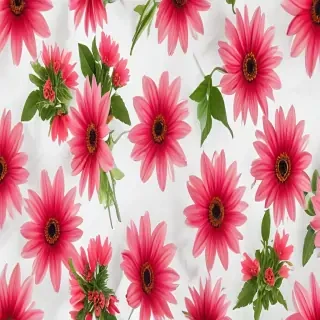 flower with white background