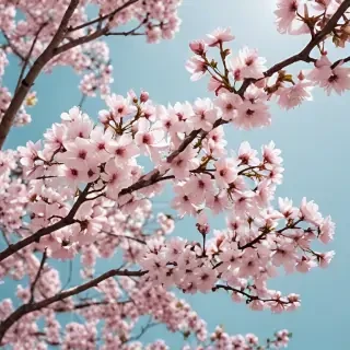 spring aesthetic desktop wallpaper