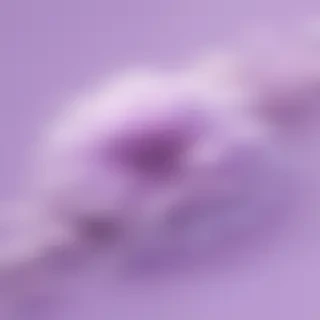 cute pastel purple background