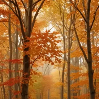 fall leaves aesthetic