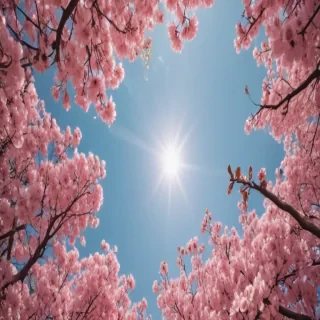 cute aesthetic wallpapers iphone