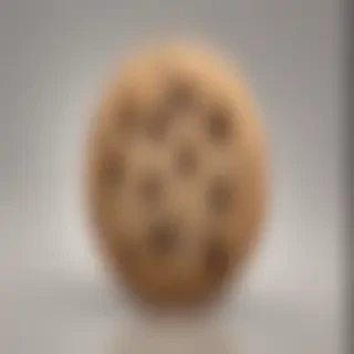 chocolate chip cookie png
