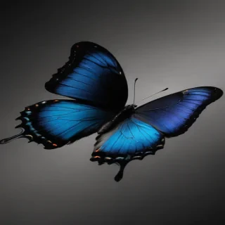 black butterfly outline