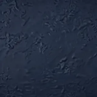 navy background