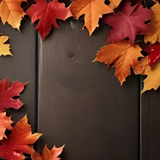 fall iphone wallpaper