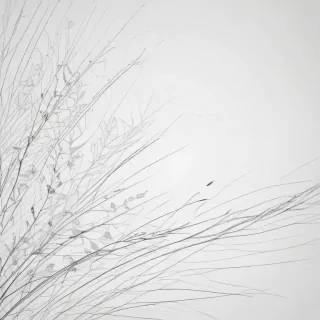 line art background
