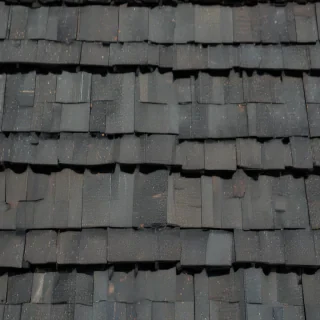 pictures of shingles
