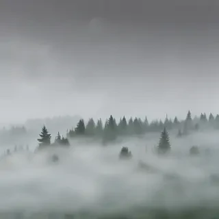 fog transparent background