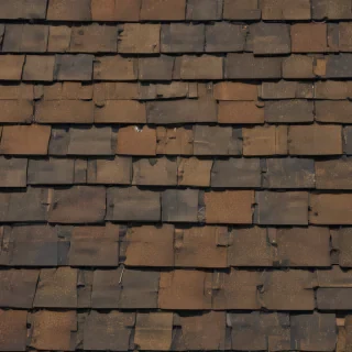 shingles images
