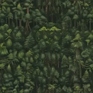 forest png