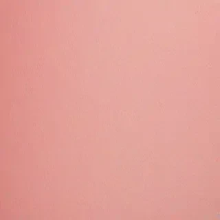 blush background
