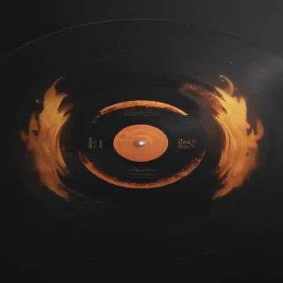 vinyl png