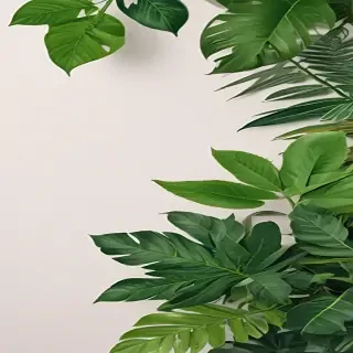 plants background