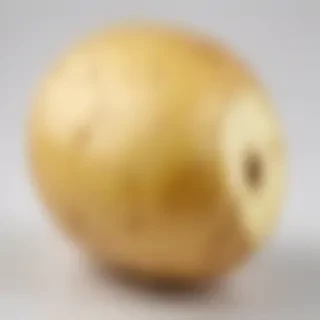 potato transparent