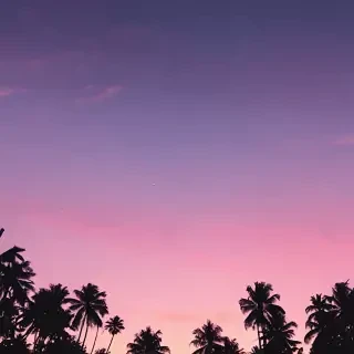 aesthetic wallpapers simple