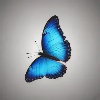 blue butterfly png