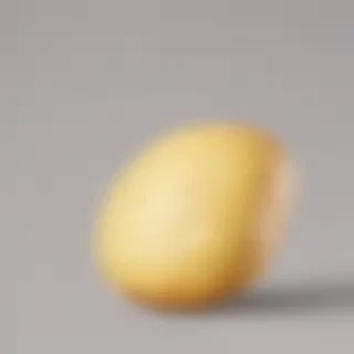 potato transparent background