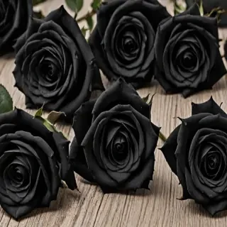 black roses background
