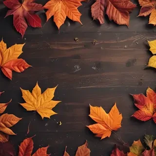 autumn iphone wallpaper