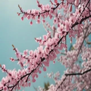 spring aesthetic desktop wallpaper