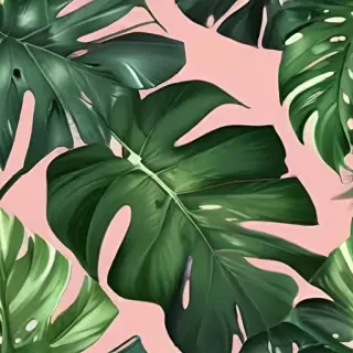 aesthetic monstera wallpaper