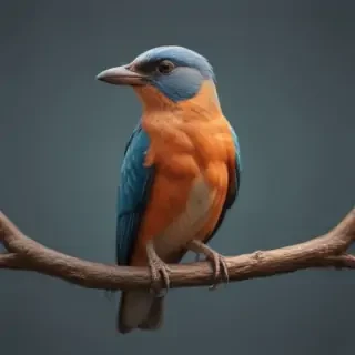 bird transparent background