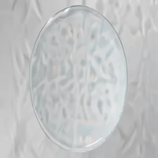 circle transparent