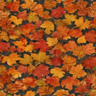 fall leaves png transparent