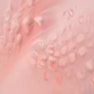 blush background