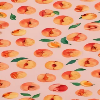 peach color background
