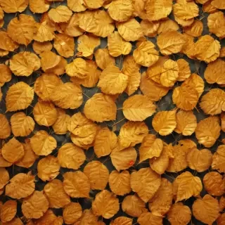 golden leaves background